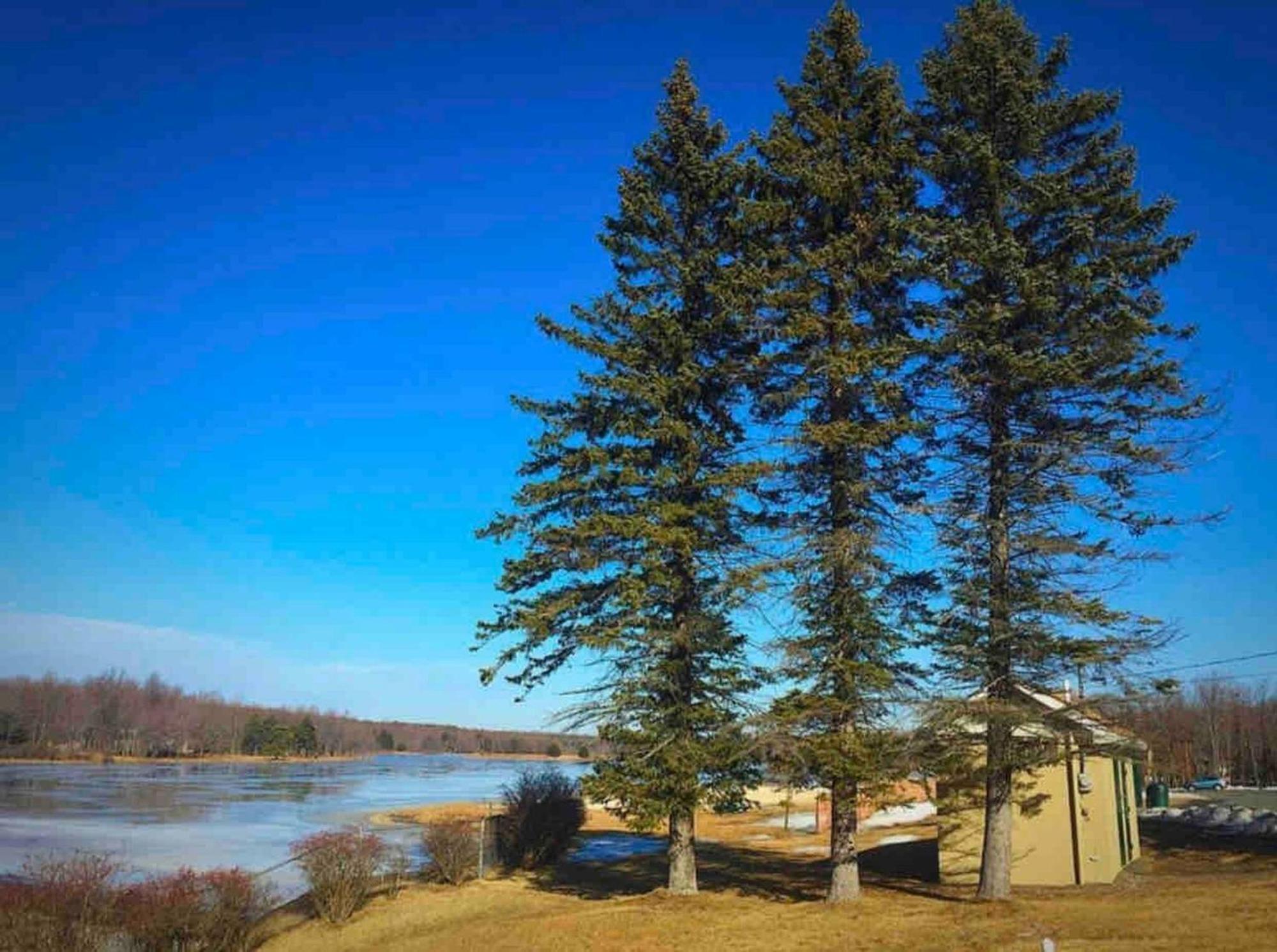 Treehousejacuzzi Sauna Pool Lake Ev Gymgame